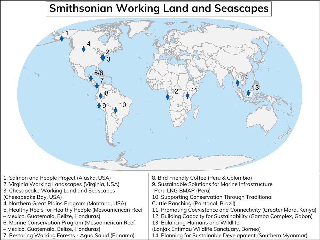 A map of the world with each of the 14 WLS projects considered in the publication marked.