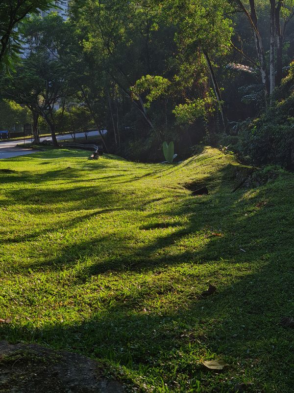 Refreshing morning view of the park in Bukit Antarabangsa. thumbnail