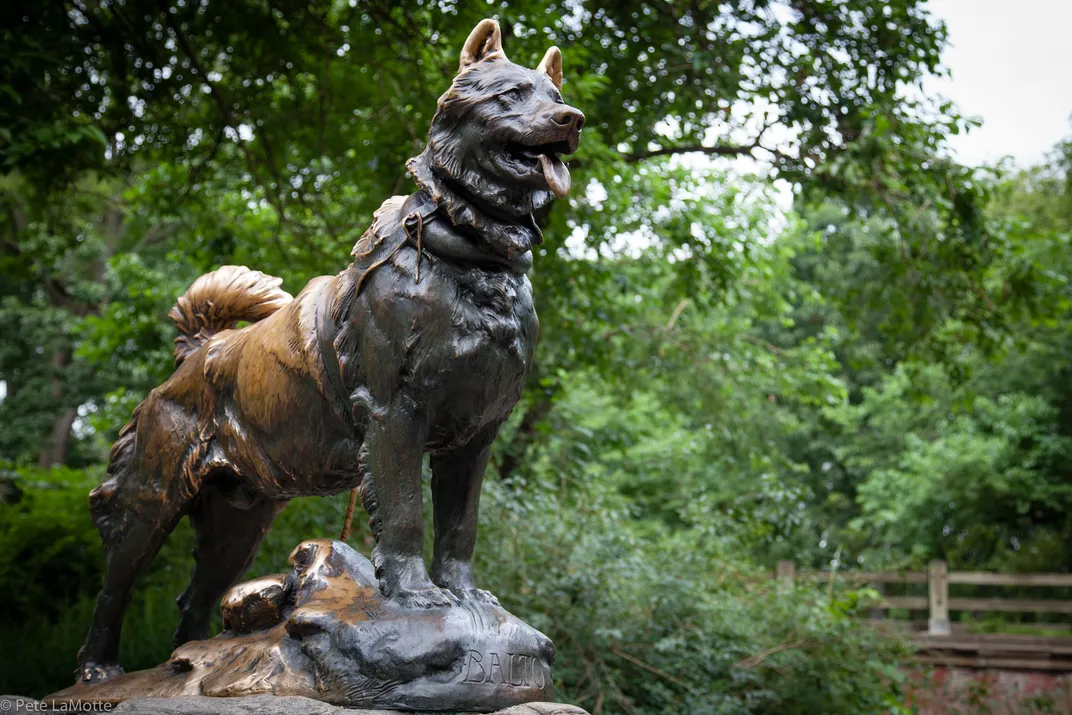 A statue of Balto in Central Park