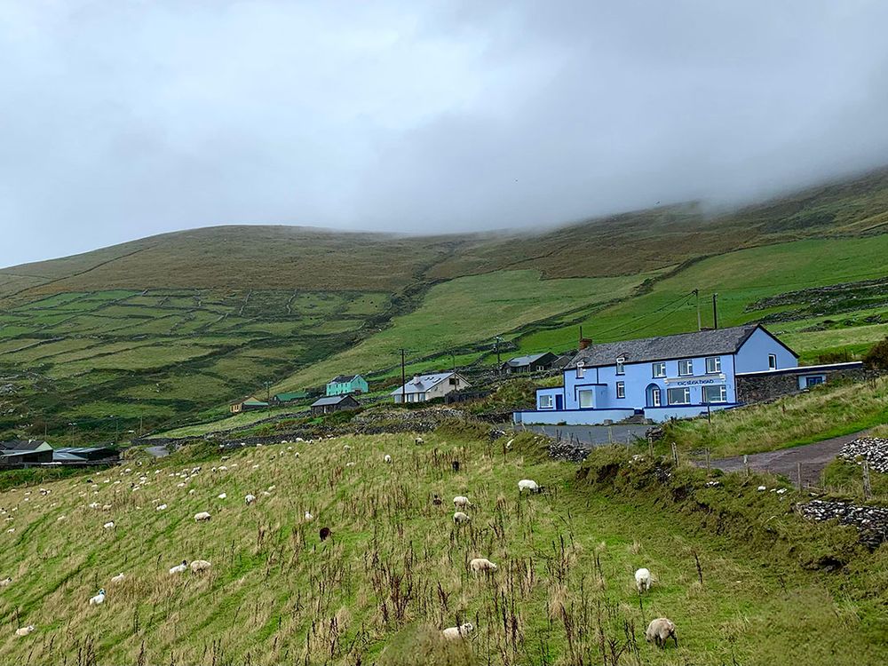 Hilly green farmland with sheep grazing in the foreground and a few farm houses in the distance. Low gray clouds descend on the hills.