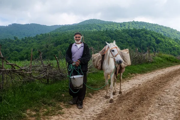 Forest dweller thumbnail