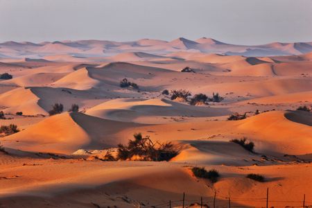 When wind and water deflect of the dunes, they nudge their neighbors away.