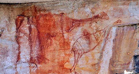 Rejse Foreman træner Extinct Bird Key to Dating Australia's Oldest Cave Art | Science |  Smithsonian Magazine