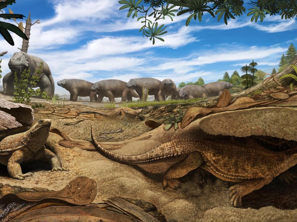 Why the Turtle Grew a Shell—It's More Than Safety