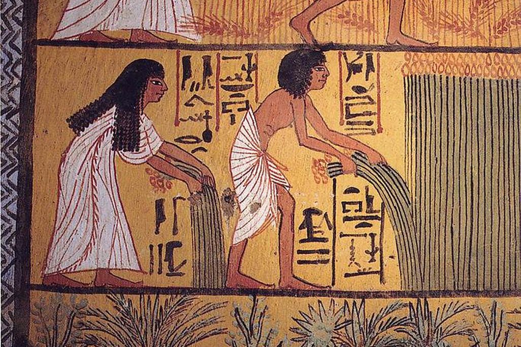 Egyptian Harvest