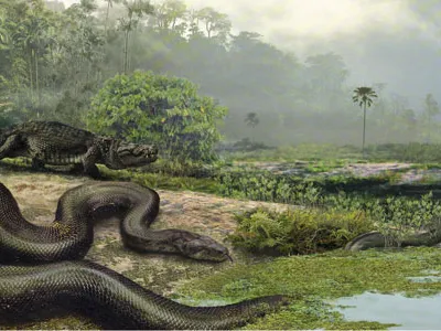 How Titanoboa, the 40-Foot-Long Snake, Was Found image