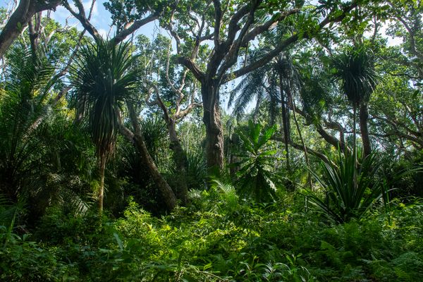 Jurassic World - Could this be a film set? thumbnail