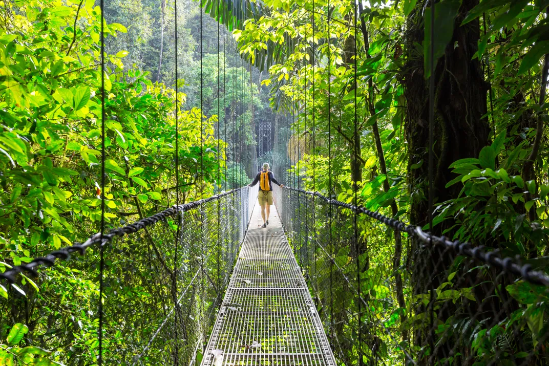 Hanging bridges in Costa Rica's tropical forest