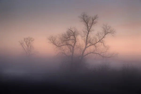 Misty Dawn by Lake Michigan thumbnail
