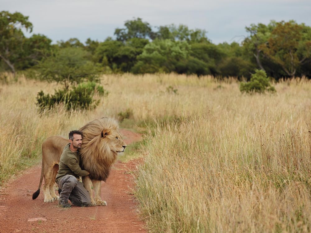 What Makes the 'Lion Whisperer' Roar?, Science