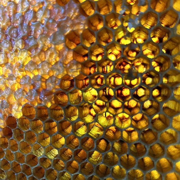 Honeybee brood chambers thumbnail