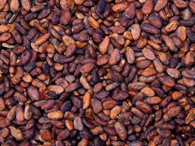 1,000 years ago, Native Americans in the Southwest likely traded for cacao beans from far-away parts of Mexico and South America. 