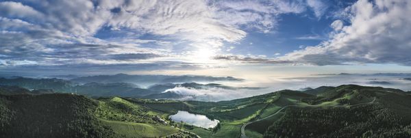 Early morning in Tea Garden thumbnail