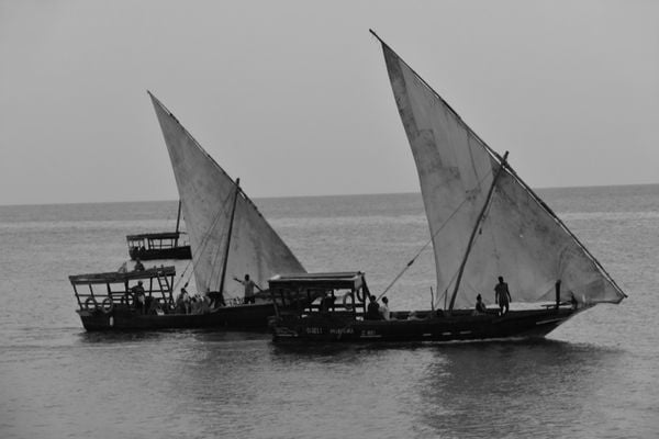 Dhow Sailboats in Zanzibar thumbnail