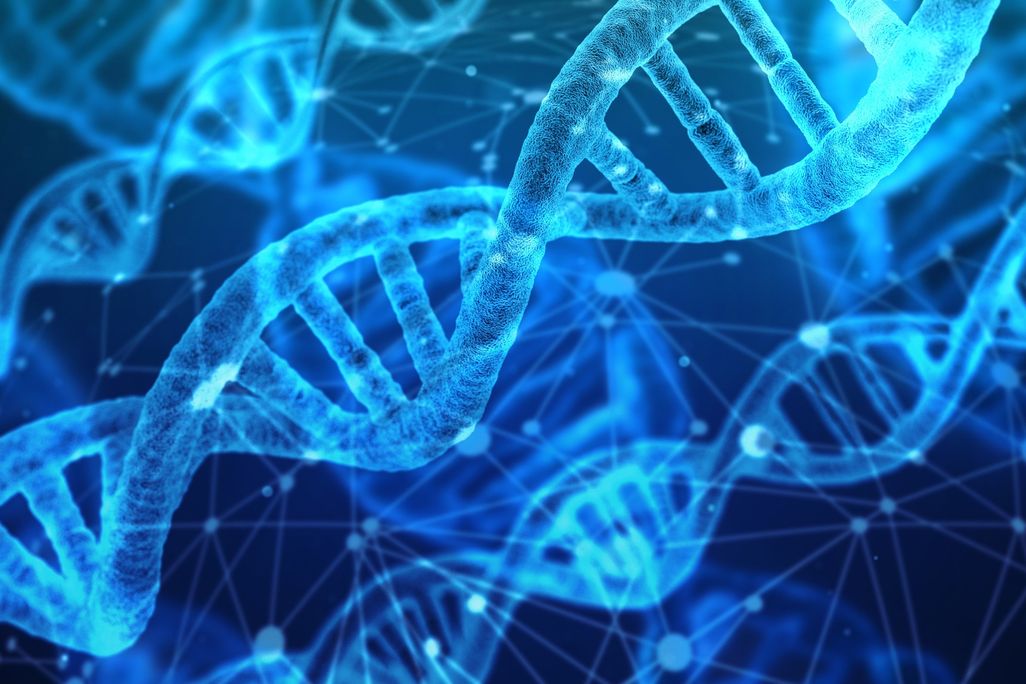 DNA strands
