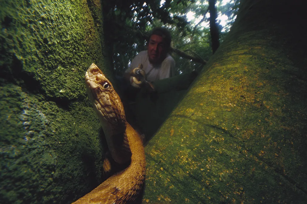 Snake Island Brazil