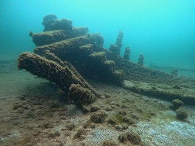 Shipwreck Found in Lake Michigan 130 Years After Sinking With Captain's 'Intelligent and Faithful' Dog Onboard image