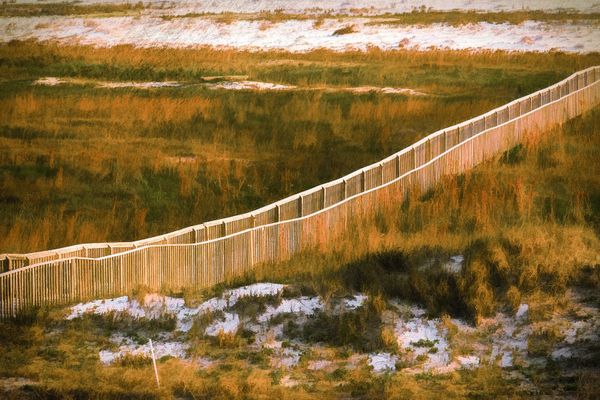 boardwalk to the Gulf Coast thumbnail