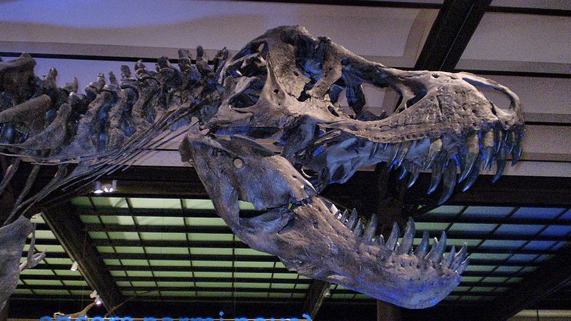 The Behind-The-Scenes Struggle That Made Jurassic Park III 'A Living Hell