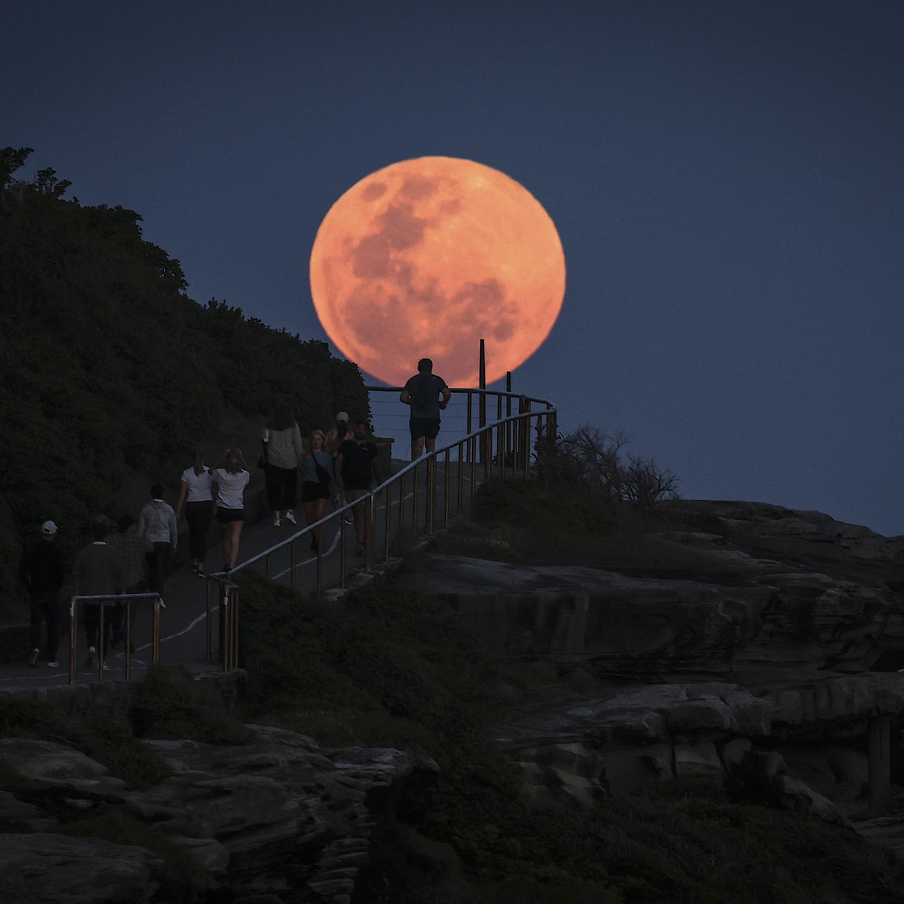 レベルE v.3 (Full moon…!) gettyimages-2178136544.jpg