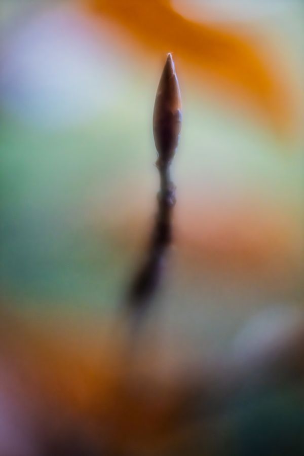 Mette Klint Artistic 3-4 thumbnail