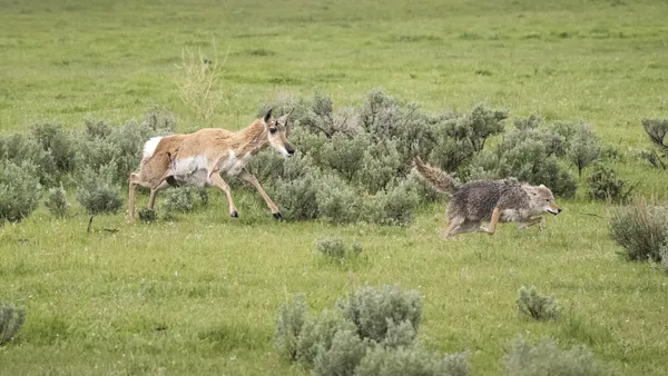 A Mother's Stand thumbnail