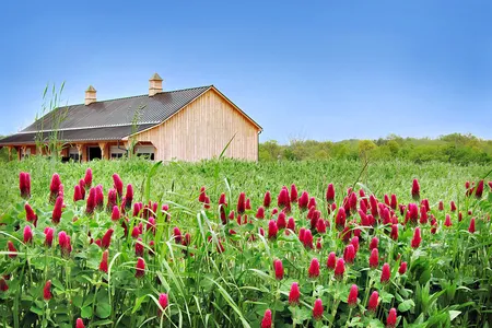 Willowsford is the first neighborhood to take Development Supported Agriculture mainstream. 