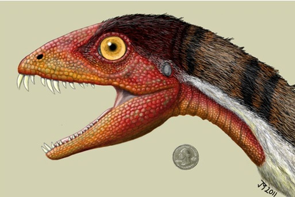 20110520083316daemonosaurus-head1.jpg