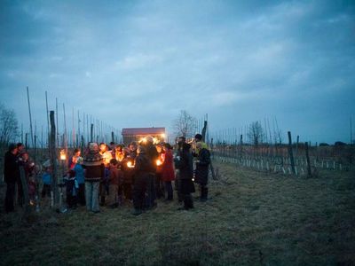 A group of revelers are seen wassailing at Redbyrd Orchard Cider in New York. 