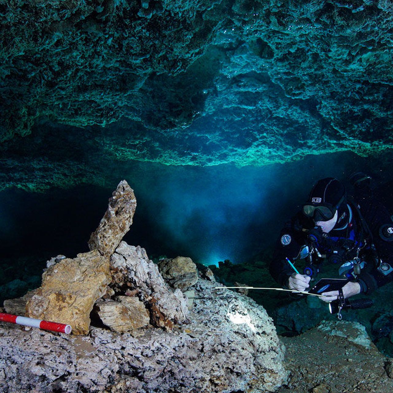 diver_1280p.jpg
