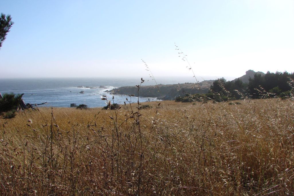 Salt Point, CA