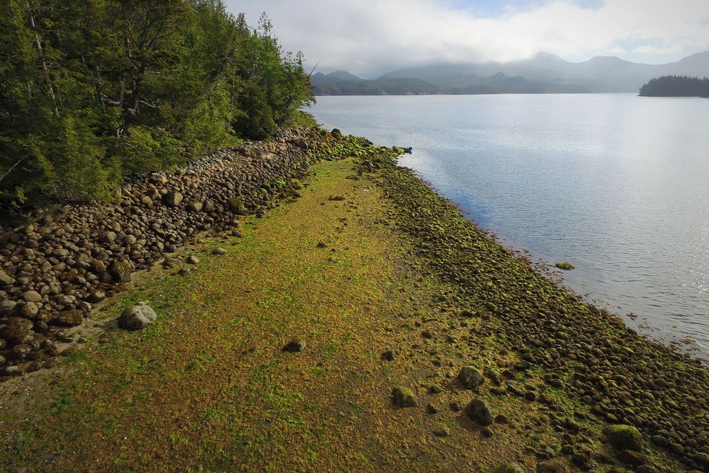 Clam Garden