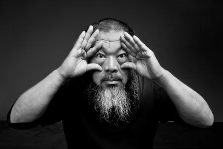 Ai Weiwei worked with Amnesty International and other groups to collect the stories of people imprisoned in 33 countries. 