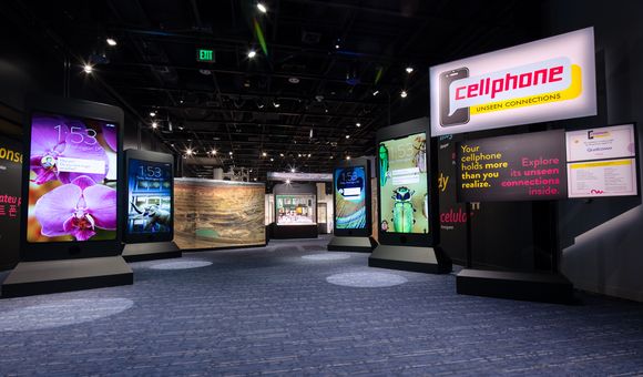 NMNH-2023-01828 (1).jpg