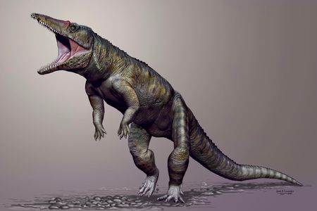 Terrifying. An ancestor of the modern-day croc stood nine feet tall and walked on its hind legs. It's been lovingly christened the "Carolina Butcher."