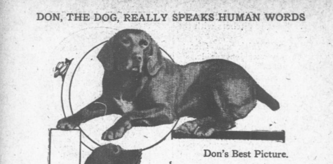 When Don the Talking Dog Took the Nation by Storm | History| Smithsonian  Magazine
