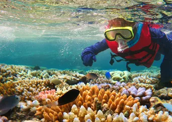 Australia for Families: A Tailor-Made Journey description