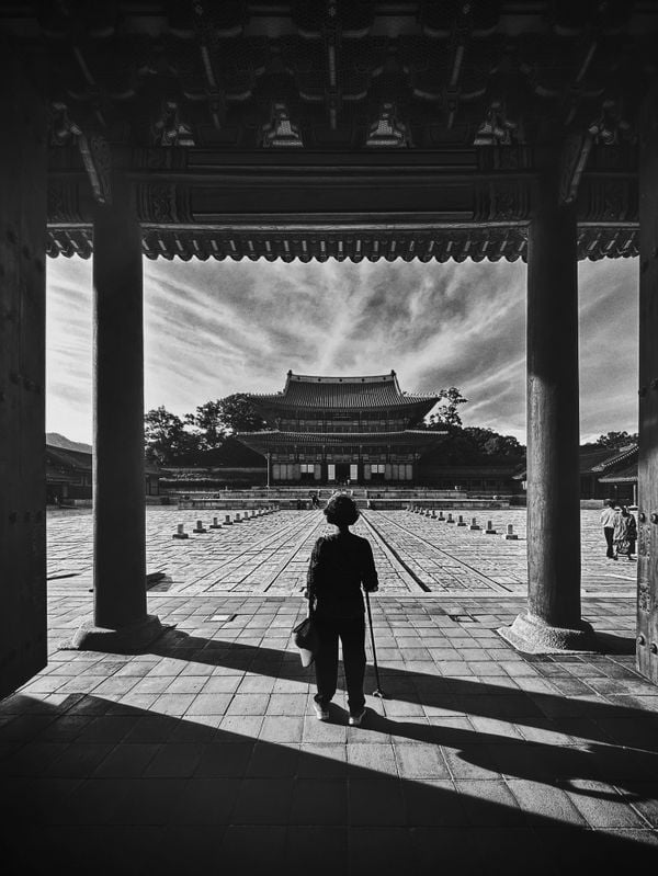 Palace Shadows, Seoul thumbnail