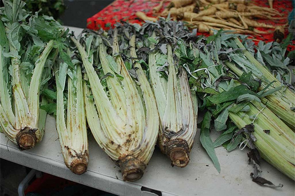 Baked cardoons