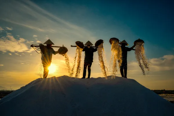 DAILY SALT COLLECTING AT SALT PAN thumbnail