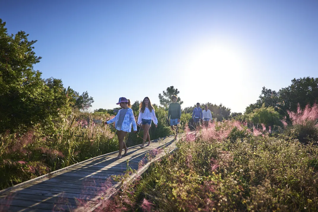 Discover the Charming Allure of Georgia's Golden Isles