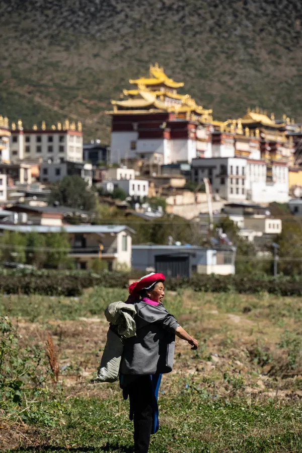 Path Towards the Sacred thumbnail