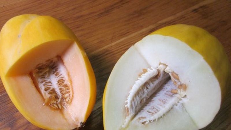 How to Tell If Honeydew Is Ripe, Because No One Likes a Bland Melon