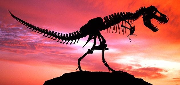 The Top Ten Weirdest Dinosaur Extinction Ideas | Science| Smithsonian  Magazine