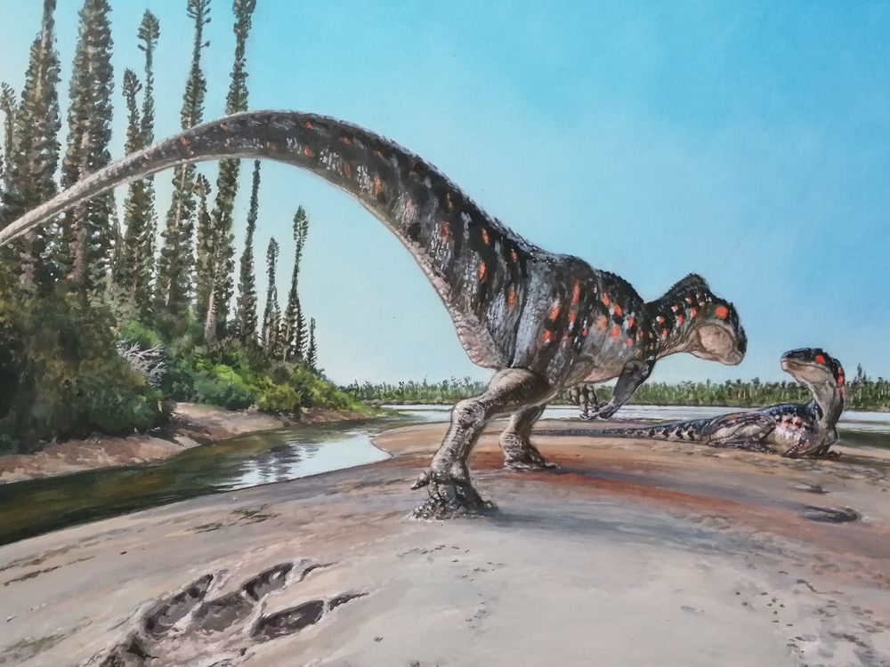 Illustration of one dinosaur standing and another laying down on a coastline
