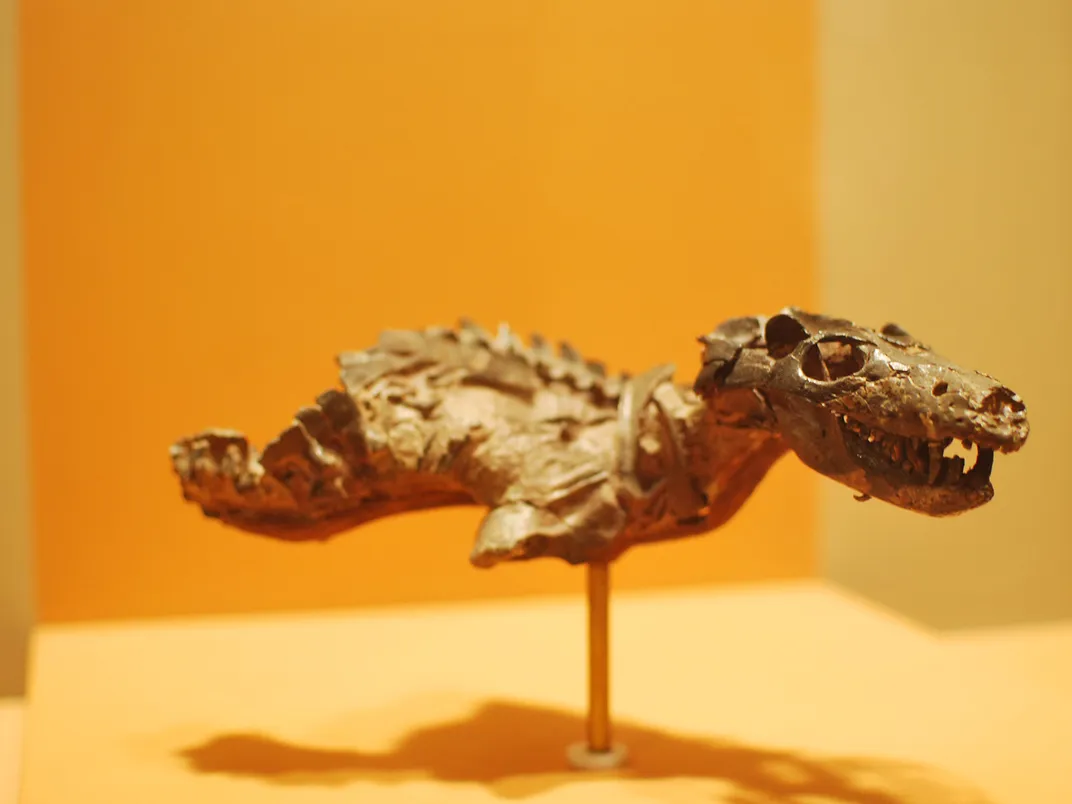 Thrinaxodon