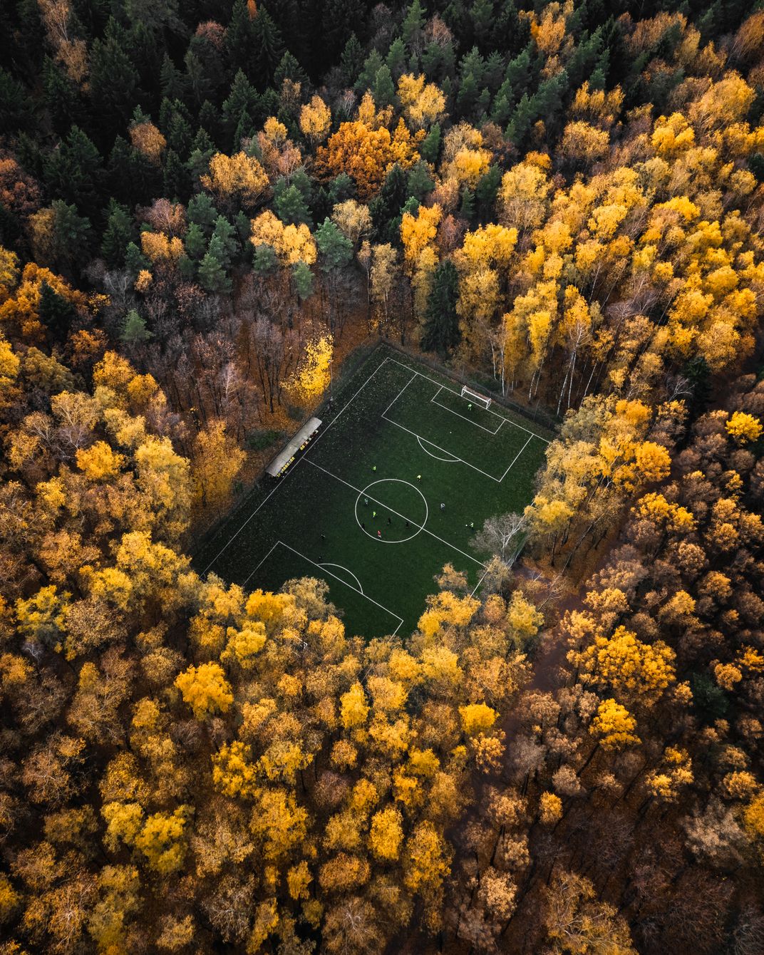 a soccer field surrounded by trees in the fall season