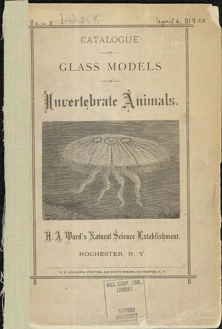 College Students Studied These Mail-Order Sea Creatures in the Late 1800s