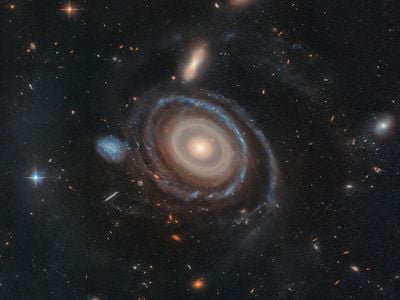 LEDA 1313424, nicknamed the Bullseye, appears next to the small blue dwarf galaxy on its immediate left.