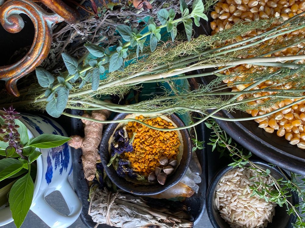 A colorful and artfully arranged assortment of herbs, spices, corn, and a white mug with blue designs clustered together on a table, viewed from above